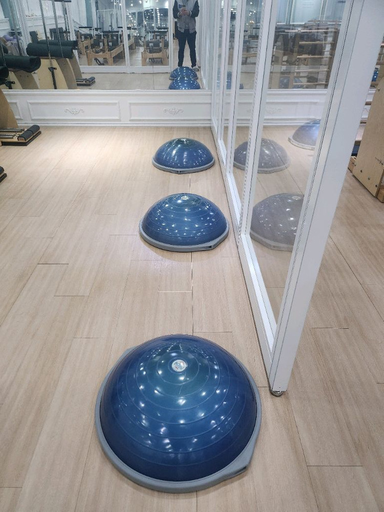 bosu 프로 보수볼--1