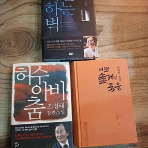 조정래 소설 3권 세트(외면하는벽..허수아비춤..어떤솔거의죽음)3권합. 이미지