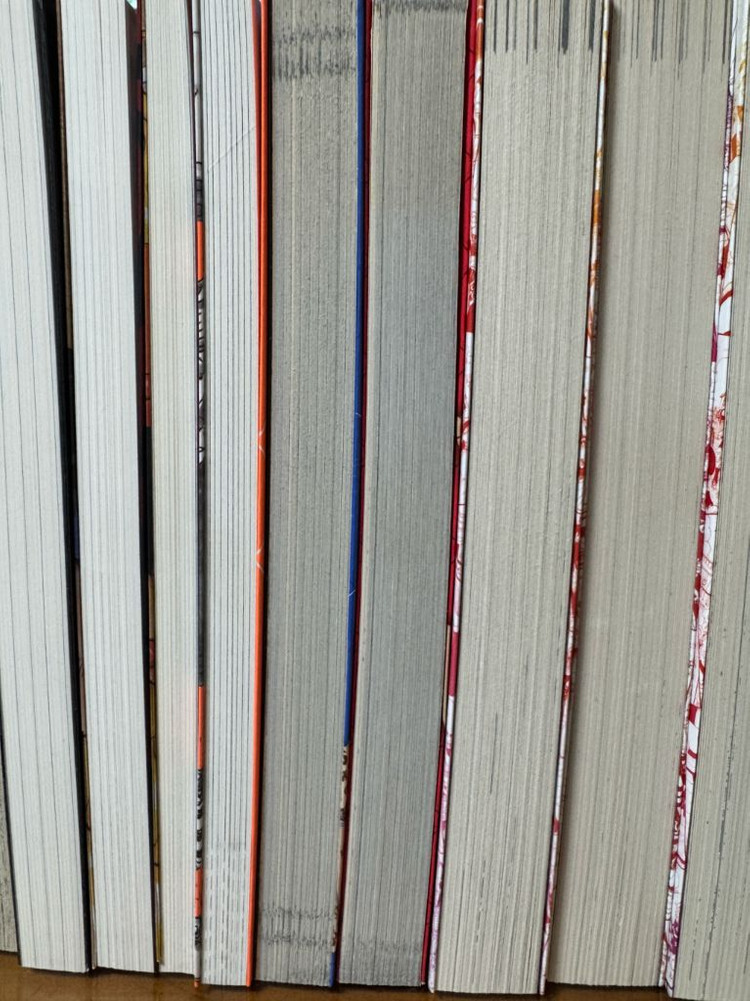 원피스 소설책, 만화책 일괄판매--3