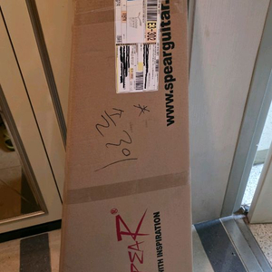 일렉기타 AVANTGARDE SF Matt