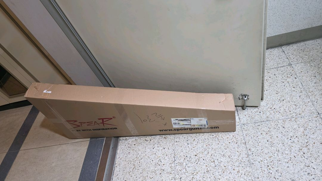 일렉기타 AVANTGARDE SF Matt--1