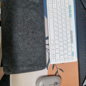 갤럭시탭 s9 wifi 256gb