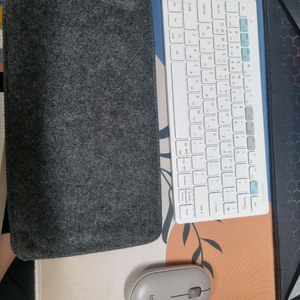 (~25일)갤럭시탭 s9 wifi 256gb