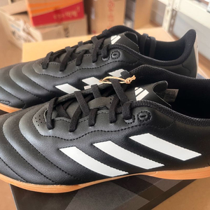 아디다스 GOLETTO VIII IN 풋살화 골레토 8 250 새상품 인도어 축구 HP6451