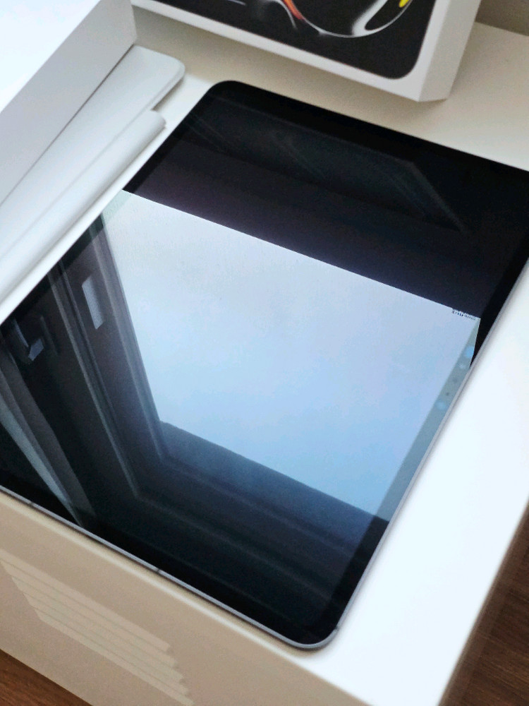 아이패드 프로 13 M4 256GB 셀룰러 (배터리 100%) 스페이스 블랙--1