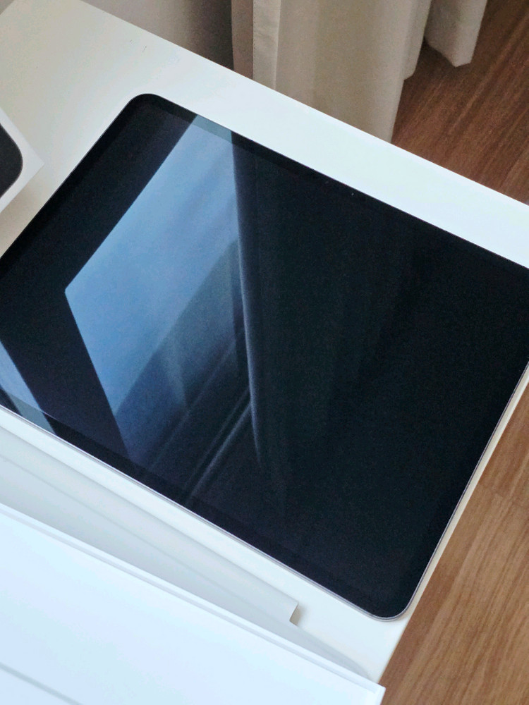 아이패드 프로 13 M4 256GB 셀룰러 (배터리 100%) 스페이스 블랙--2