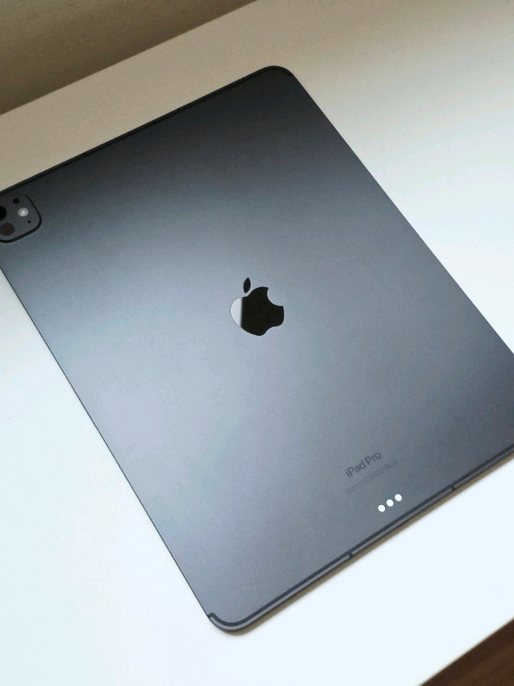 아이패드 프로 13 M4 256GB 셀룰러 (배터리 100%) 스페이스 블랙--3