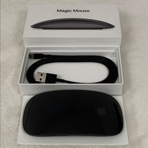 애플 매직마우스2 스페이스 그레이 (박스, 케이블 포함)