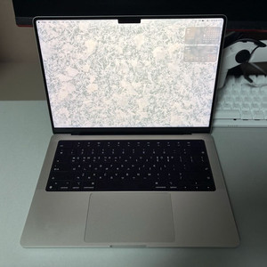 맥북프로 M4 기본형 실버 팝니다. (애플케어플러스 등록되어있습니다.)