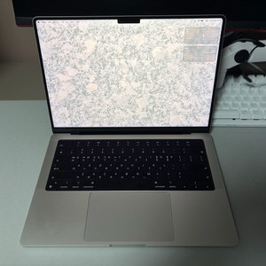 맥북프로 M4 기본형 실버 팝니다. (애플케어플러스 등록되어있습니다.)