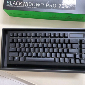 레이저 블랙위도우 V4 75% Pro