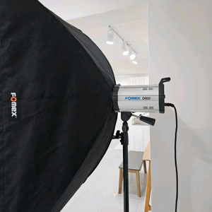 포멕스 D60 2대 (소프트박스)+H1000