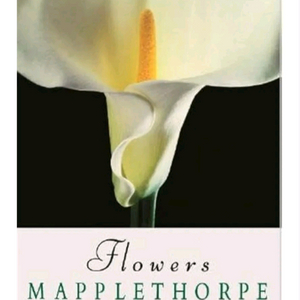 메이플 소프 사진집 플라워