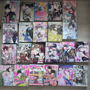 비엘 만화 잡지