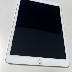 아이패드 7세대 32GB 와이파이 실버색상