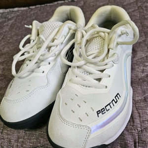 스펙트럼 PECTUM 배드민턴화 화이트 245(A급)