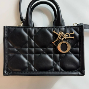 디올 북토트 미니백 블랙