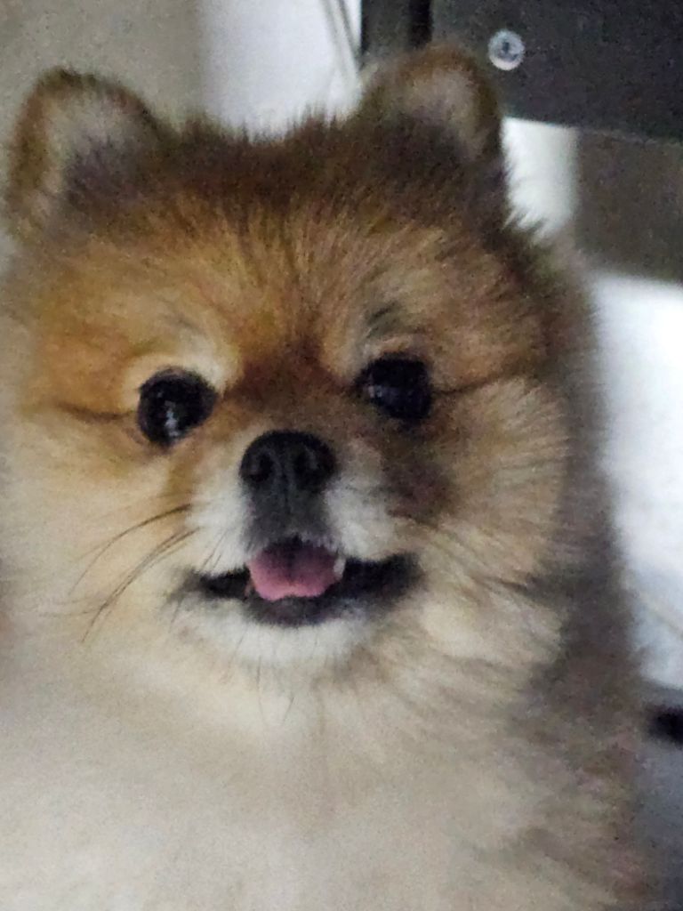 프로필 이미지