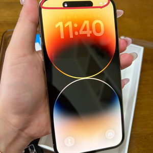 아이폰 14 프로 256 골드 자급제