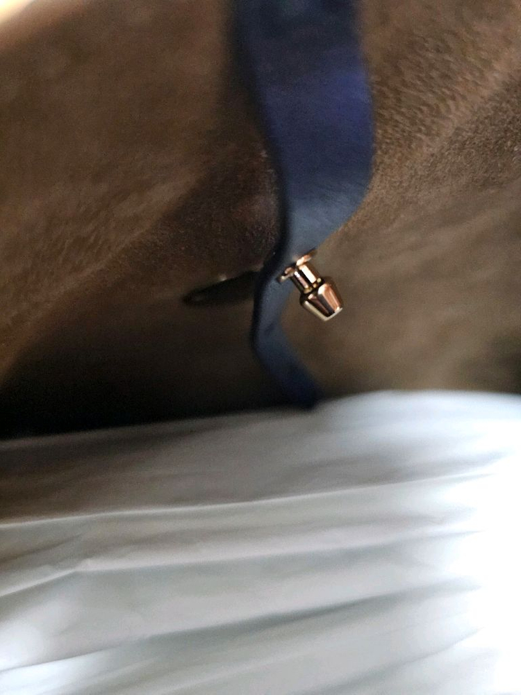 페라가모 간치니 톱핸들백 이미지