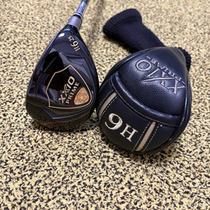 젝시오 프라임 12 유틸리티 6번 25도 R 이미지