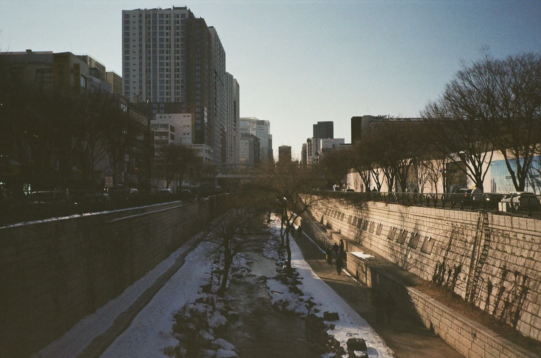 교세라T(야시카T3)--6