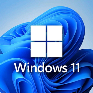 (OEM x)Windows 10/11 pro 정품 인증키 판매