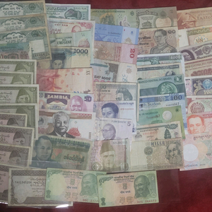 외국 지폐 사용제 50장 일괄