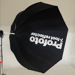 프로포토 자이언트 실버 210 profoto giant silver 210