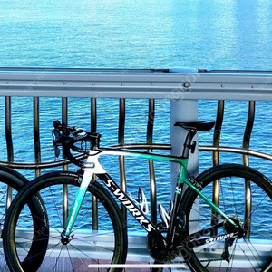 에스웍스 타막 54사이즈sl6 보라한스그로헤 에디션 듀라 Di2