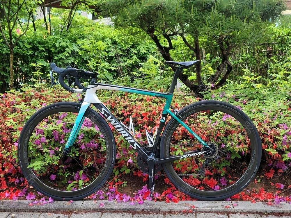 에스웍스 타막 54사이즈sl6 보라한스그로헤 에디션 듀라 Di2--1