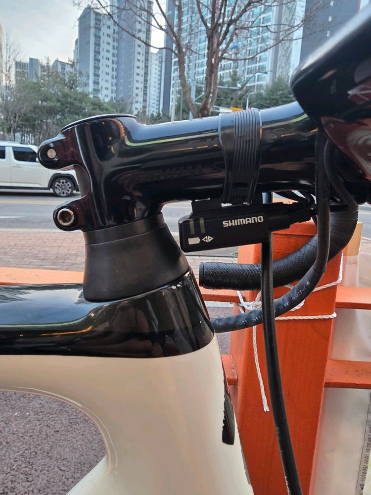 에스웍스 타막 54사이즈sl6 보라한스그로헤 에디션 듀라 Di2--5