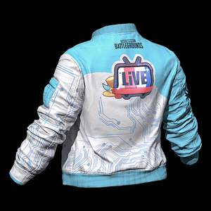 스팀배그 빌리빌리자켓 코드팝니다 이미지