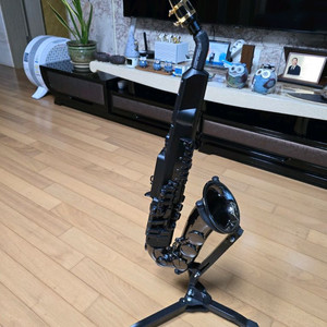 전자 색소폰 야마하 YDS 150 이미지