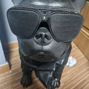 자르 에어로불 HD1 불독 스피커 매트 블랙