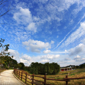 삼양 8mm FISH-EYE 렌즈 소니