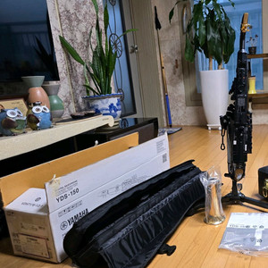 전자 색소폰 야마하 YDS 150 이미지