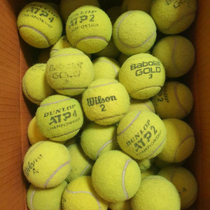 테니스공 70개 팝니다