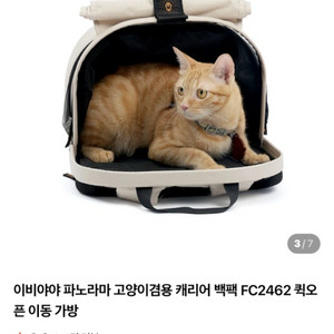 새제품)이비야야 파노라마 고양이 겸용 캐리어 백팩 FC2462 버터밀크 색상