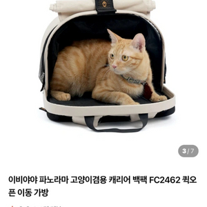 새제품)이비야야 파노라마 고양이 겸용 캐리어 백팩 FC2462 버터밀크 색상