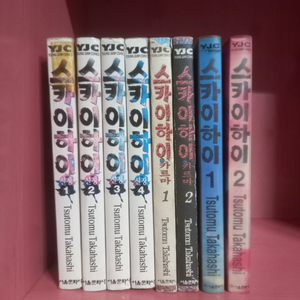 스카이하이 만화책 전권