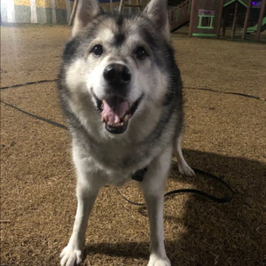 맥미니 m4 32램 삽니다