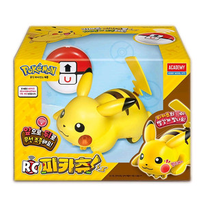 포켓몬 RC카
