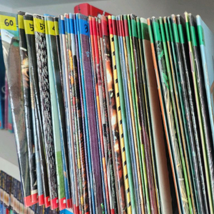 스콜라스틱 베이비 사이언스58권