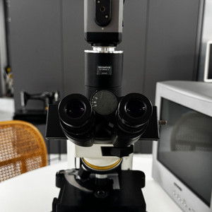 올림푸스 CX40 위상차 현미경