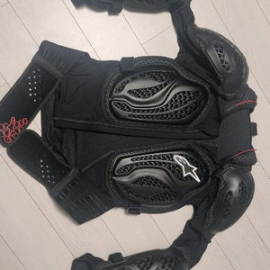알파인스타 바이오닉 프로 프로텍션 L사이즈 이너프로텍터 팔아요