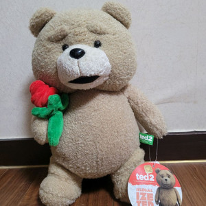 (가격내림) 곰인형 19곰 테드2 (30cm) 이미지