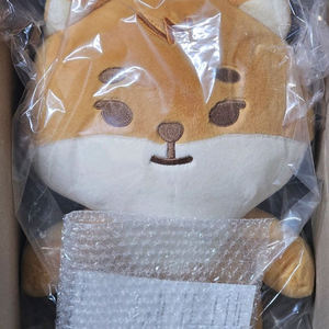 데이식스 자이언트 쁘띠멀즈 영케이