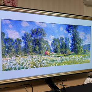 55인치 OLED TV 55C1 팝니다.