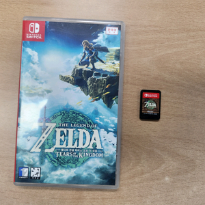 닌텐도스위치 젤다의 전설 티아스 오브 더 킹덤